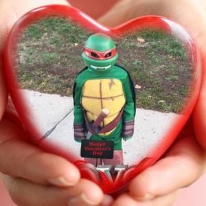 Meet your Posher, Amnon